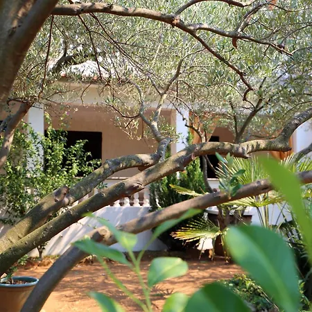 Vrgada, Biograd - 4200 Apartman *