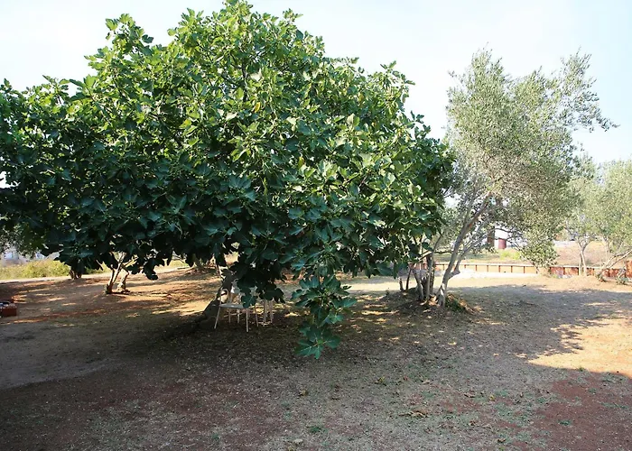 公寓 Vrgada, Biograd - 4200