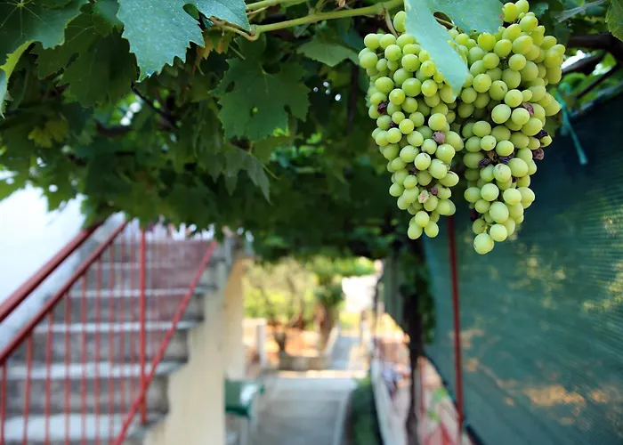 Vrgada, Biograd - 4200 *