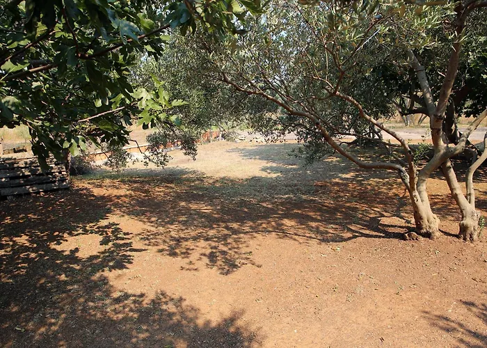 公寓 Vrgada, Biograd - 4200