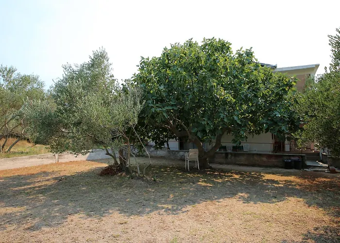 Vrgada, Biograd - 4200 公寓 *