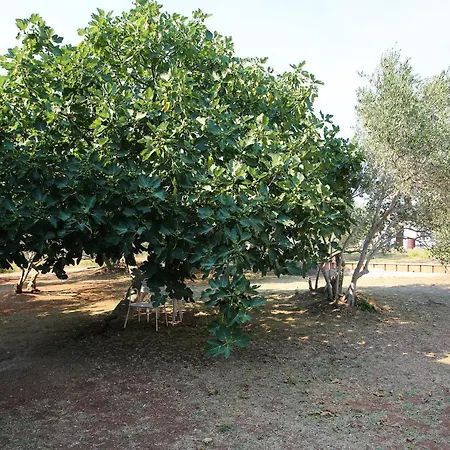 Апартаменты Vrgada, Biograd - 4200