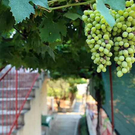 Vrgada, Biograd - 4200 *