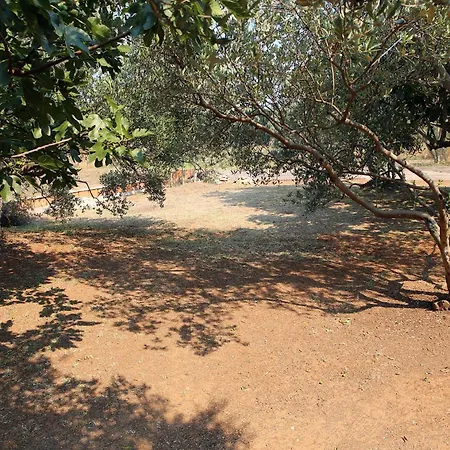 Апартаменты Vrgada, Biograd - 4200