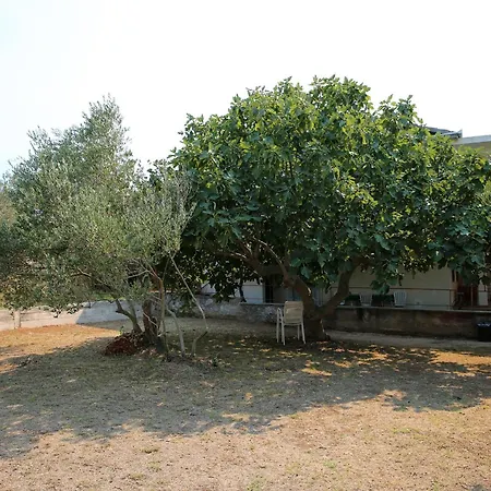 Vrgada, Biograd - 4200 Апартаменты *